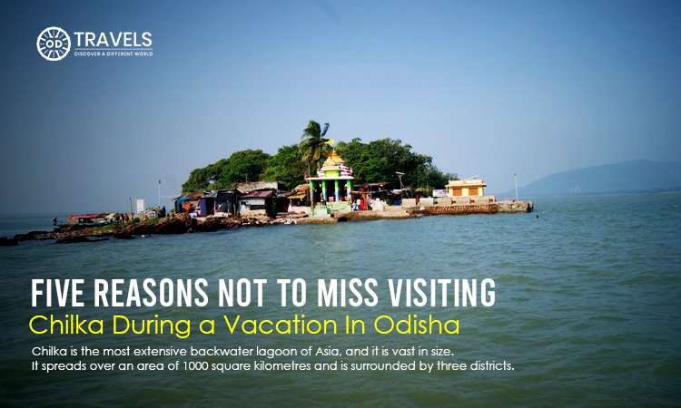 Five Reasons Not To Miss Visiting Chilka During a Vacation In Odisha