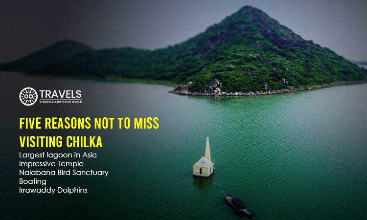 Five Reasons Not To Miss Visiting Chilka