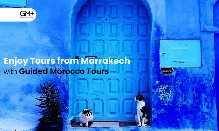 Enjoy Tours from Marrakech with Guided Morocco Tours