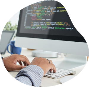 website development company in Kitchener