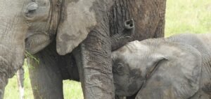 Great Rift Valley jn Kenya