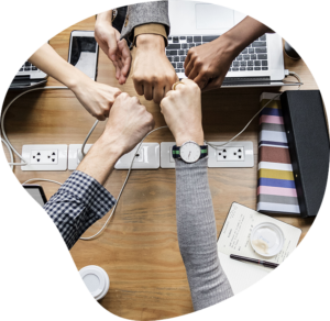 Digital Marketing Company