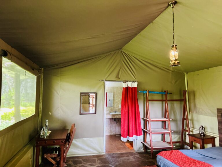 luxury tented accommodation