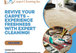 Carpet Cleaning