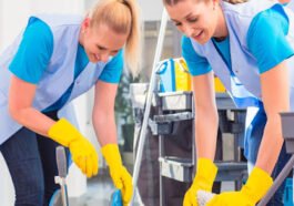 Cleaning Service Windsor