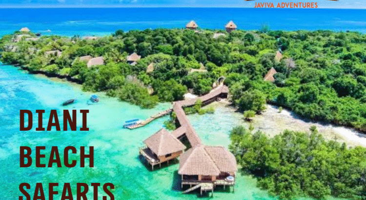 Diani Beach safari
