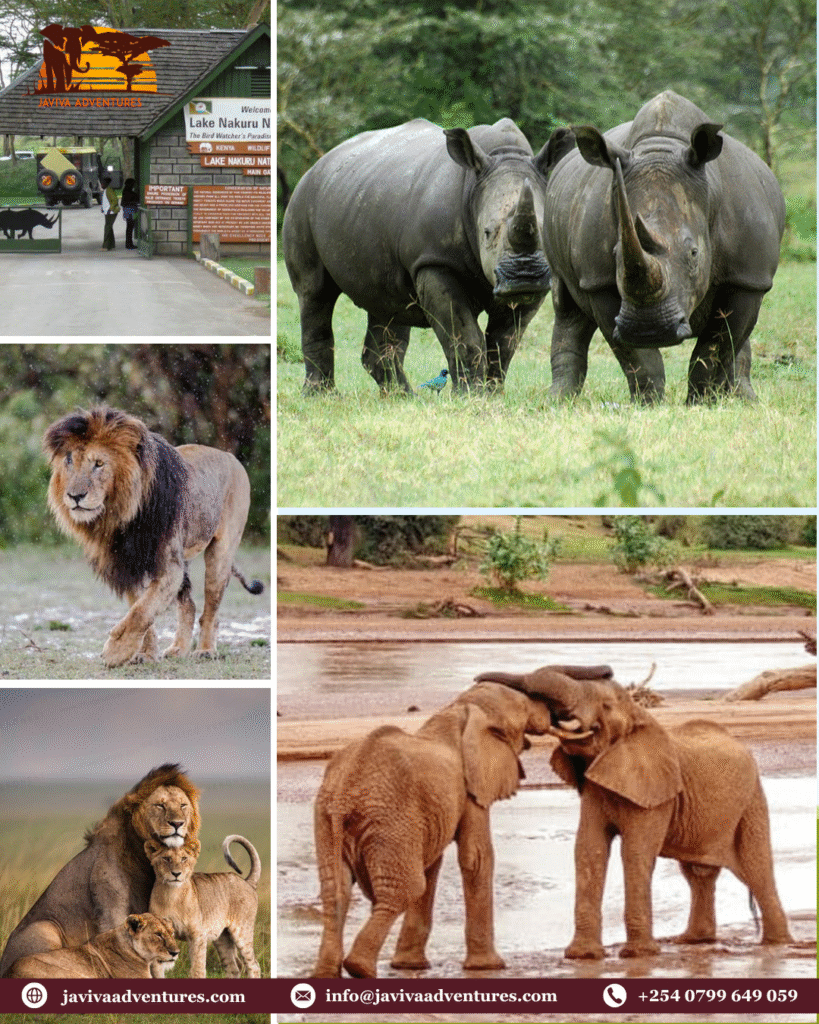 Tanzania Big 5 safari