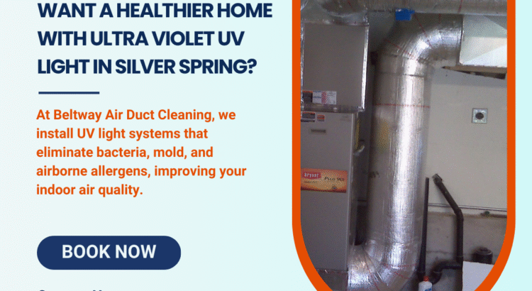 Vent Cleaning Service