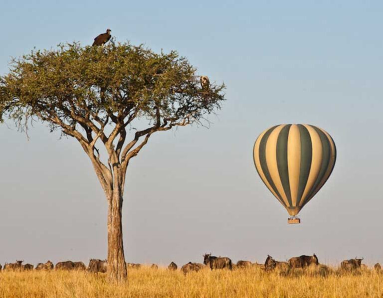 Hot Air Balloon