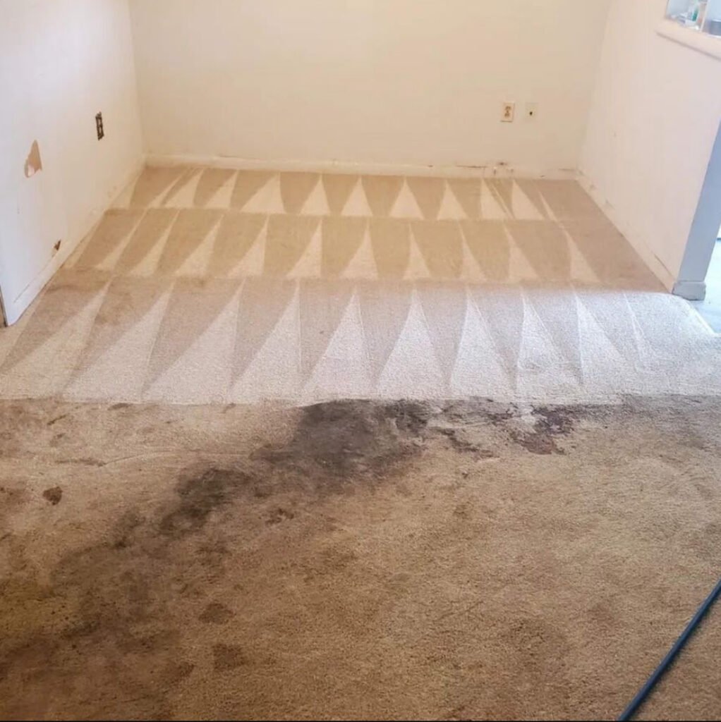 best carpet Cleaner near me