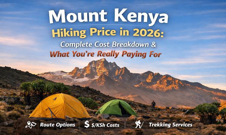 Mount Kenya Hiking Price