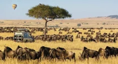 East Africa Safaris