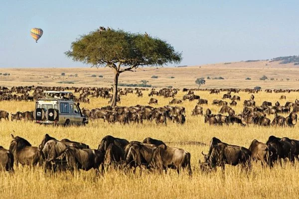 East Africa Safaris