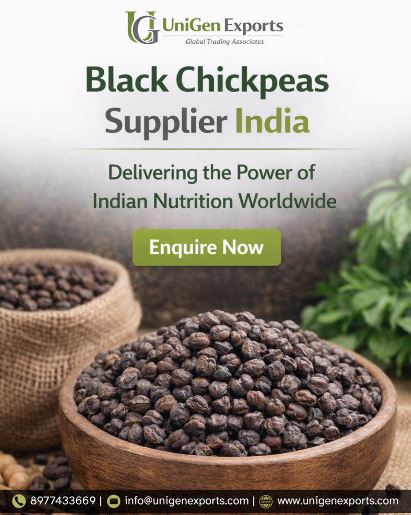 best Premium Black Chickpeas Wholesale