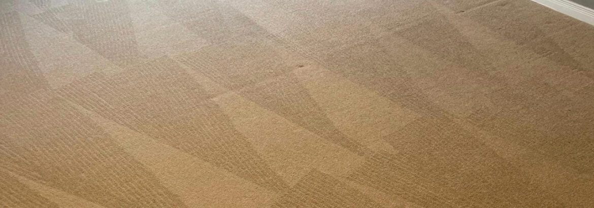 Tile Grout Cleaning Service