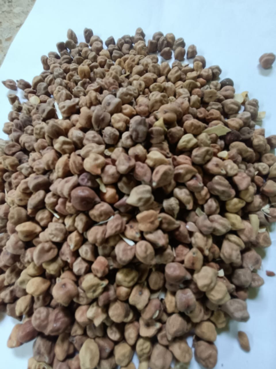 best Black Chickpeas Wholesale