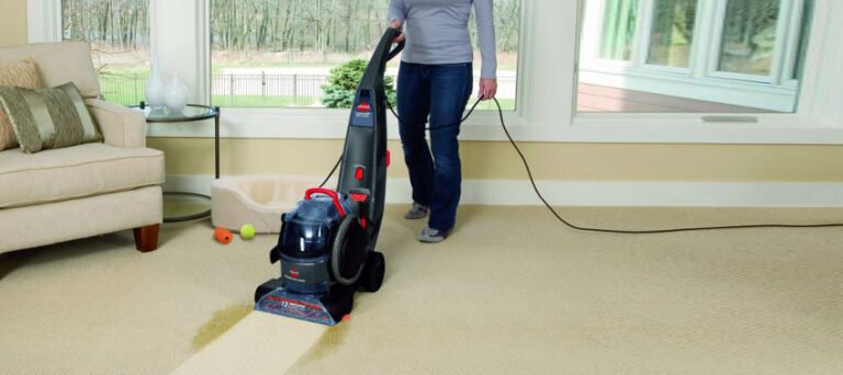 Professional Carpet Cleaning Solutions Create Fresher Healthier Homes Today