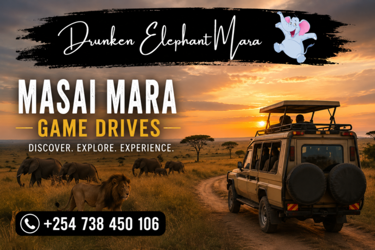 Luxury vs Budget: Types of Safari Game Drive in Masai Mara Experiences Luxury vs Budget: Types of Safari Game Drive in Masai Mara Experiences